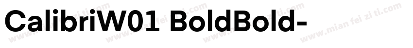 CalibriW01 BoldBold字体转换